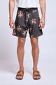 Boardshort-Aloha--1-